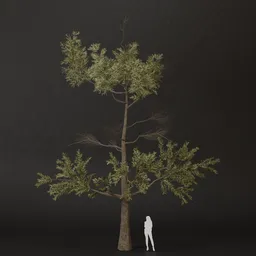 SJ-Summer Glade Pine Tree
