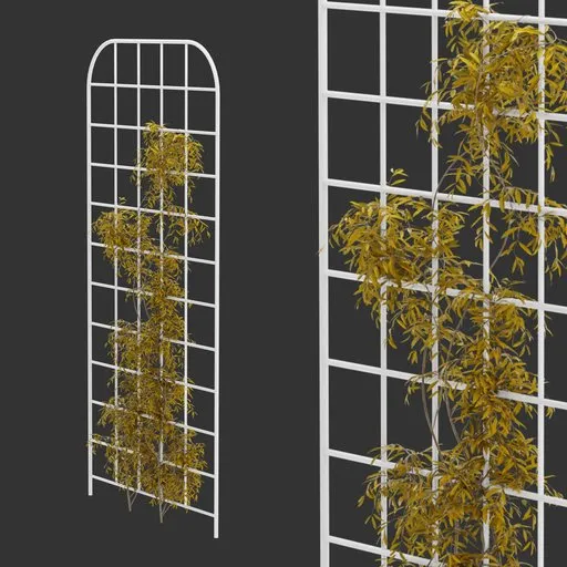 Grid Ivy Autumn Plant
