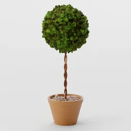 Bush - Standard Round