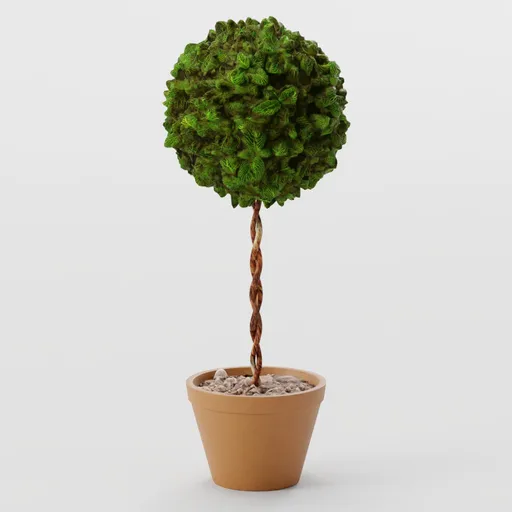 Bush - Standard Round