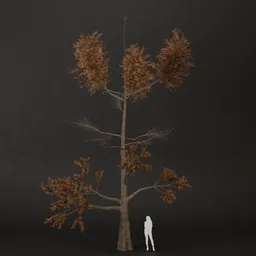 SJ-Silent Rise Pine Tree