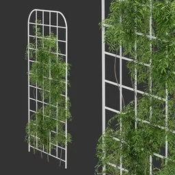 Grid Ivy Simple Plant