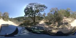 360-degree panoramic HDR of an Australian forest with clear skies for scene lighting.