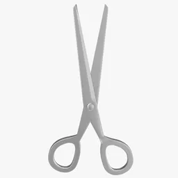 Chrome Scissors