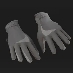 Gloves
