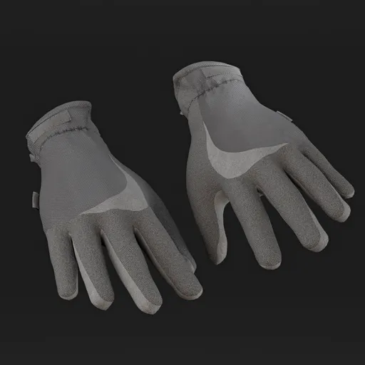 Gloves