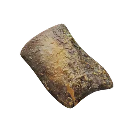 Tree brak debris