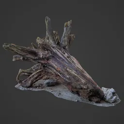 Drift Wood on Ocean Photoscan