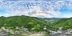 Mountain forest
