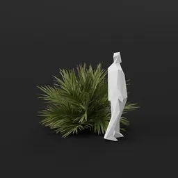Date Palm Tree Sap