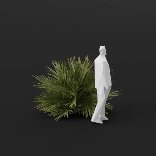 Date Palm Tree Sap
