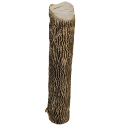 Realistic 3D model of a vertically cut tree trunk with detailed textures, ideal for Blender rendering and CGI projects.