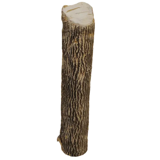 Realistic 3D model of a vertically cut tree trunk with detailed textures, ideal for Blender rendering and CGI projects.
