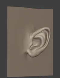 Female Ears Stylised