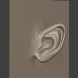 Female Ears Stylised