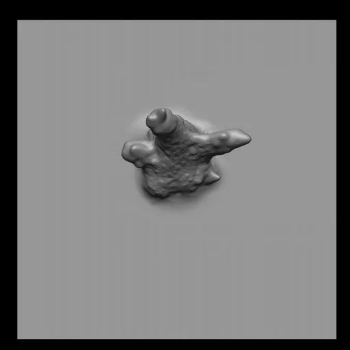 NS Sea Creature coral brush for Blender, sculpt aquatic models, fish textures, detailed organic shapes.