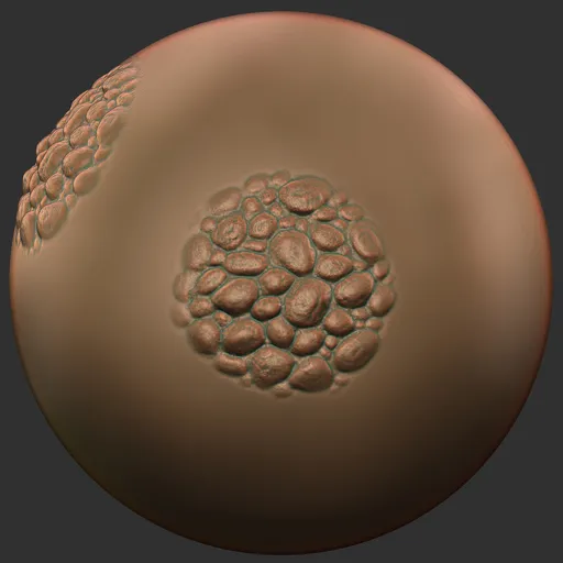 ER_Fin Brush-Fin Base / Body Detail