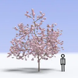Realistic pink cherry blossom 3D model suitable for Blender visualization projects.