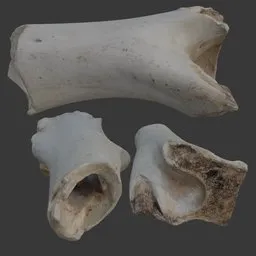 Bone broken