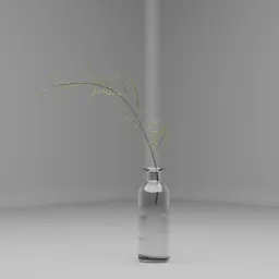 Minimal Glass Vase With Single Branch