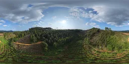 Cloudy forest HDR