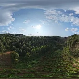 Cloudy forest HDR