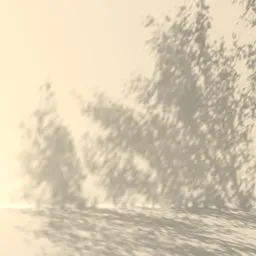 Forest trees Light Gobos