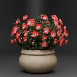 Red Flower Bush in Garden Pot