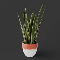 Sansevieria Snake Potted Plant