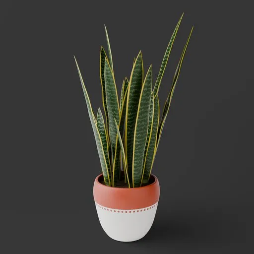 Sansevieria Snake Potted Plant