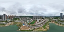 Highsky cloud forest tree green