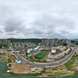 Highsky cloud forest tree green