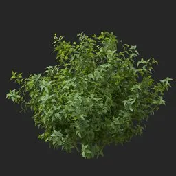 simple bush