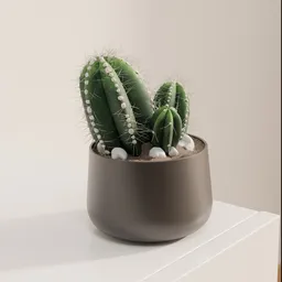Modern Trio Cactus Pot