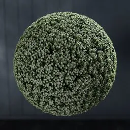 "Artificial ball Gypsophila white, a nature-indoor 3D model for Blender 3D software. Geometry nodes created using Bagapie add-on with permission of the author."