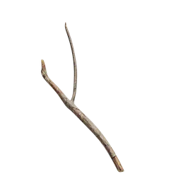 Debris and twigs