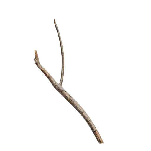 Debris and twigs