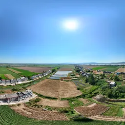 Highsky farmland green tree