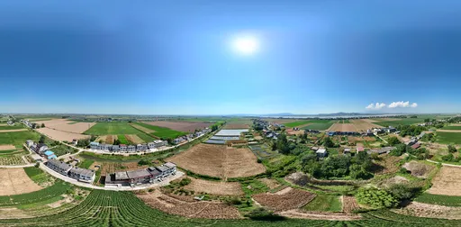 Highsky farmland green tree
