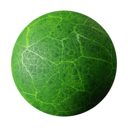 Leaf new