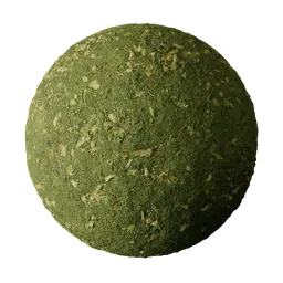 Fresh Green Moss Covered Ground