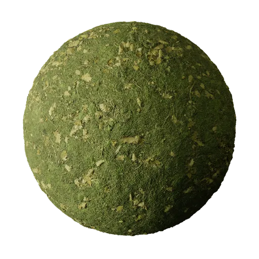 Fresh Green Moss Covered Ground