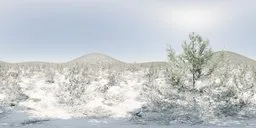 Serene snowy HDR landscape with vibrant sunlight, snow-covered trees, and blue sky for 3D lighting.