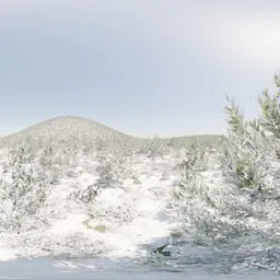 Forrest Hills Winter Day