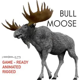 Bull Moose