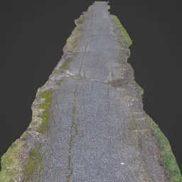 Pathway Photoscan