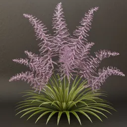 SJ-Arcane Bloom Bush