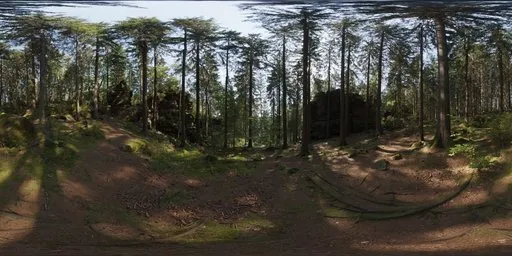 Forest Slope
