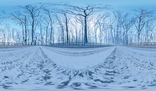 Snowy Forest Bridge