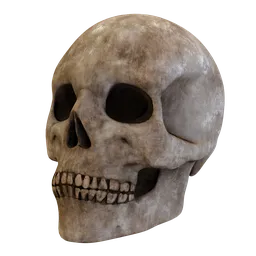 Decorative old skull